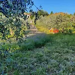 Il Mandorlo Casa vacanze