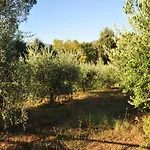 Il Mandorlo *