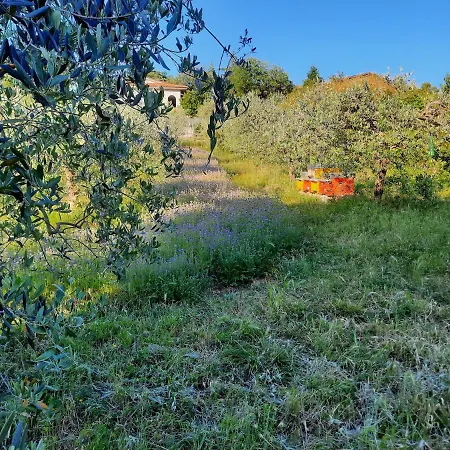 Il Mandorlo Casa vacanze