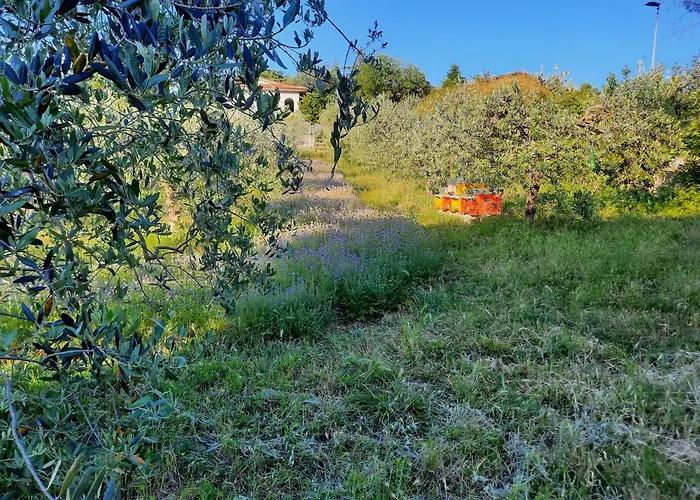 Il Mandorlo Casa de Férias